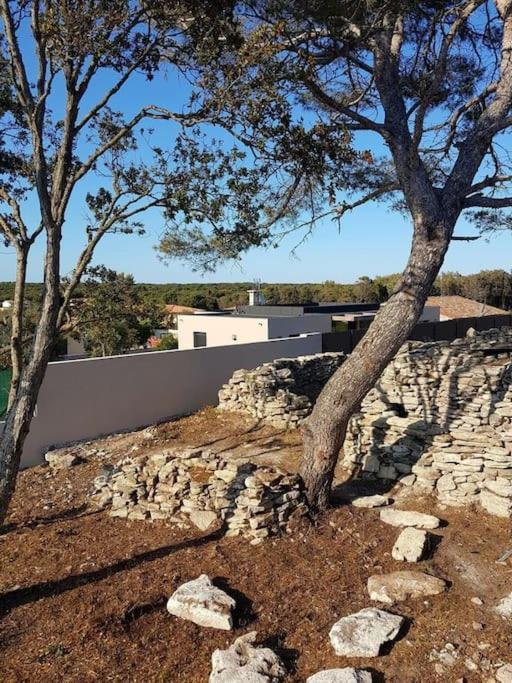 Villa Neuve Avec Piscine Bonifacio  Exteriör bild