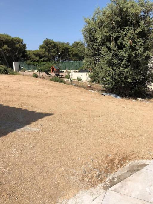 Villa Neuve Avec Piscine Bonifacio  Exteriör bild